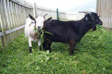 Ferienhaus Spieljochblick