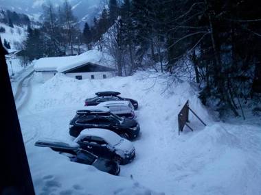Apartment Waldhaus Opitz