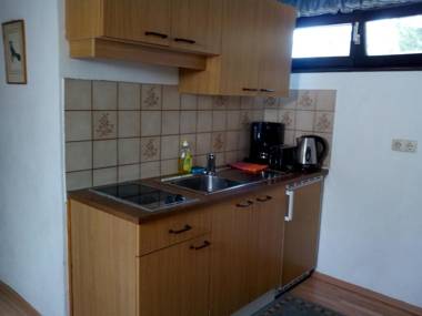 Apartment Waldhaus Opitz