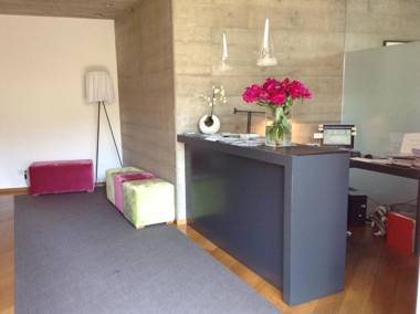 Appartements Steiner - SKI IN - SKI OUT