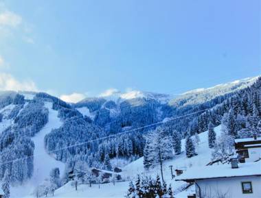 Sunny Ferienwohnungen Ski In - Ski Out