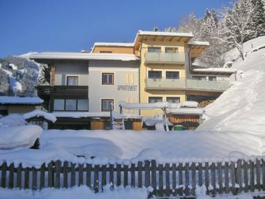 Charming Apartment in Zell am See with Mountain Views