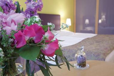 Appartement-Hotel an der Riemergasse