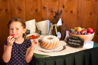 Hotel Bergwirt Schönbrunn