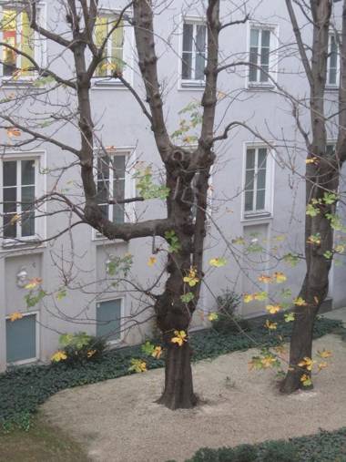 Benediktushaus im Schottenstift