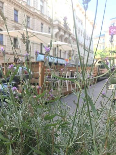 Time Out City Hotel Vienna