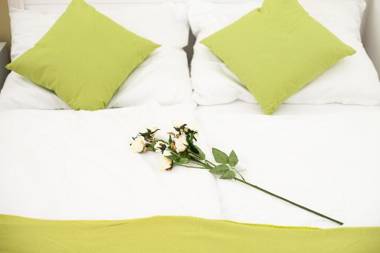 Traditional Apartments Vienna TAV - Entire