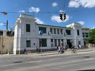 Pink Grapefruit City Condo