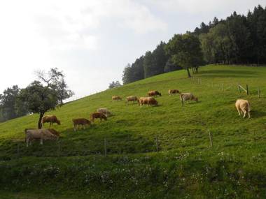 Biohof Himbrechtsöd