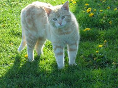 Biohof Himbrechtsöd