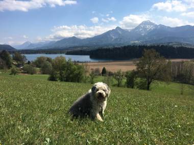 Gästehaus Trink B&B