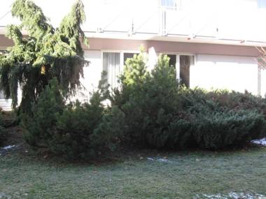 Holiday Apartments Warmbad