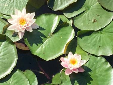 Lieblingsplatzl - Das Apartmenthaus