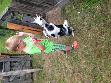 Hotel Hammerwirt - Forellenhof