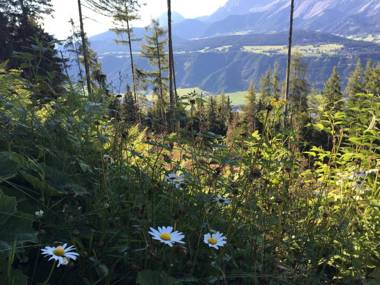 Ferienwohnung Schladming Planai Mitte
