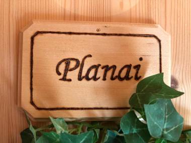 Ski In- Ski Out - Haus Stocker - direkt an der Skipiste by Schladmingurlaub