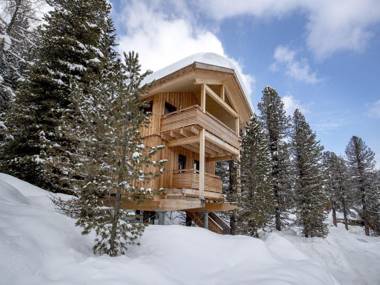 Quiet Chalet in Turracherhöhe with Sauna and Jacuzzi