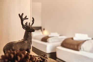 die Tauplitz Lodges - Wasserfall Lodge C2 by AA Holiday Homes