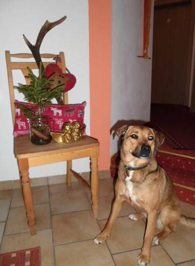 Biobauernhof Vilshof