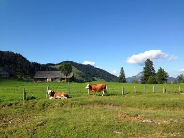 Apartments Laimer am Wolfgangsee