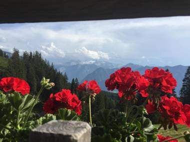 Appartements im Forsthaus