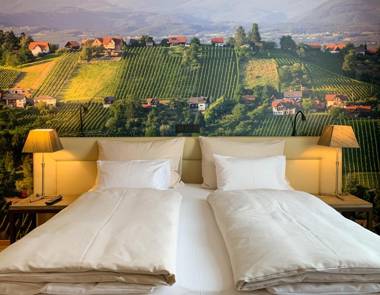 Hotel Stainzerhof