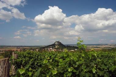 Weinbauernhof Vier Jahreszeiten