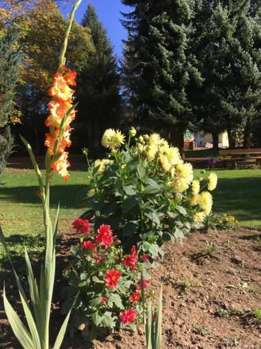 Pension Karlsdorfer Hof