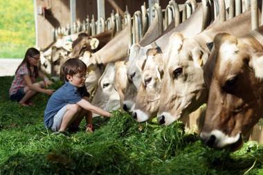 Ferienbauernhof Schneider