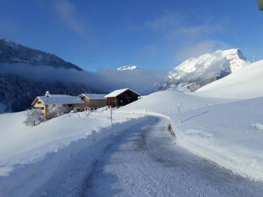 Haus Erna Schoppernau