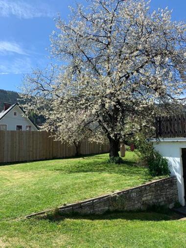 Kirschbaum Apartment