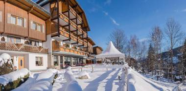 Aparthotel Ferienalm Schladming