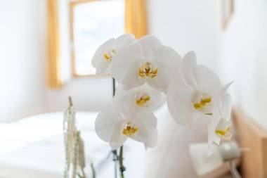 Appartementhaus Steirergasse by Schladming-Appartements