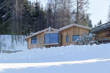 Chalet Alm Planai