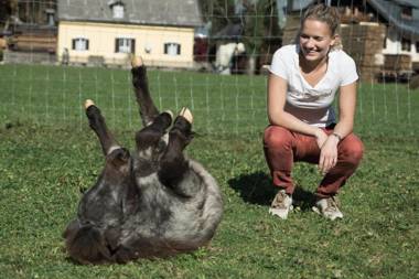 Das Franzl - Bett & Brot