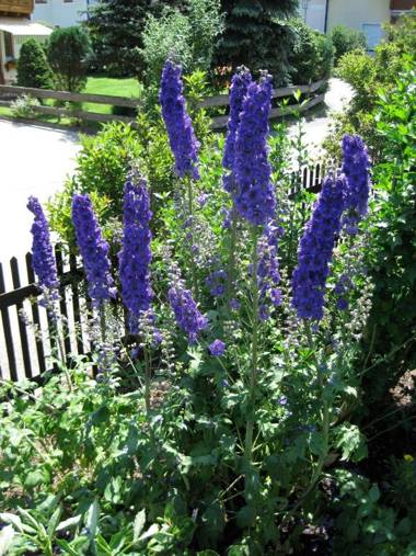 Ferienwohnungen Thalmeier