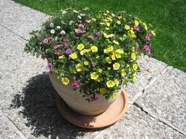 Ferienwohnungen Thalmeier