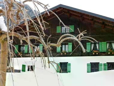 Modern Apartment in Sankt Gallenkirch with Lovely Garden