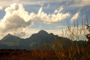 Die Lilie / Hotel Garni