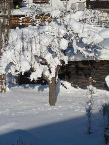 Ferienwohnung Kathrein