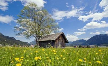 Chalet Mia in Wängle bei Reutte