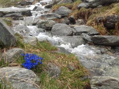 Apartment in Rennweg am Katschberg with Garden Parking