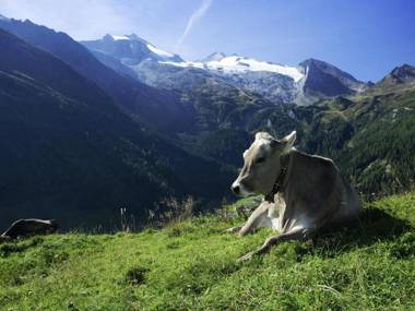 Charming Apartment in Bruck am Ziller with Terrace