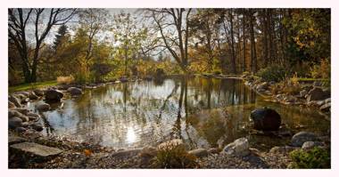 Der Knappenhof - Hotel & Restaurant