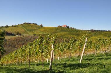 Weingut Kögl