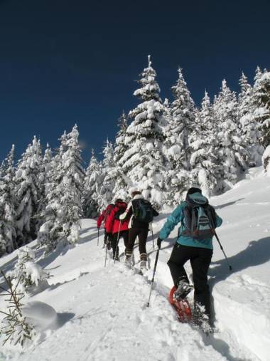 Premium Wanderhotel Steirerhof