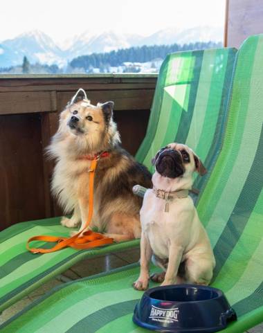 Almfrieden Hotel & Romantikchalet