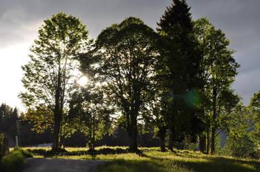 Apartmenthaus Dornröschen