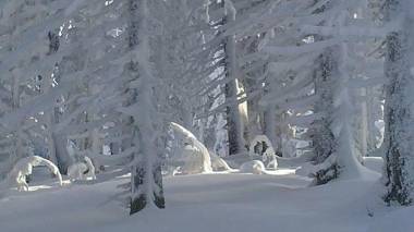 Hotel Gasthof Brüggler