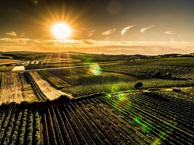 Genießerhof Haimer - Hotel Garni